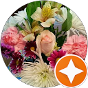 Mary Oestreich profile picture